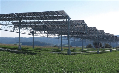 IFC to Strengthen Egypt’s Clean Tech Sector, Provide Solar Irrigation to Farmers