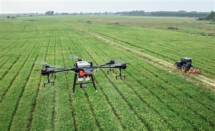  $2 Million African Agritech Prize Now Accepting Applications