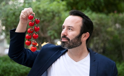 UAE-Based Agritech Pure Harvest Raises $64.5 Million in Growth Capital
